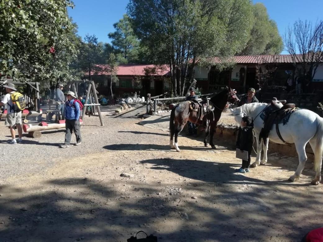 Cerocahuí Rancho Cabanas San Isidro מראה חיצוני תמונה
